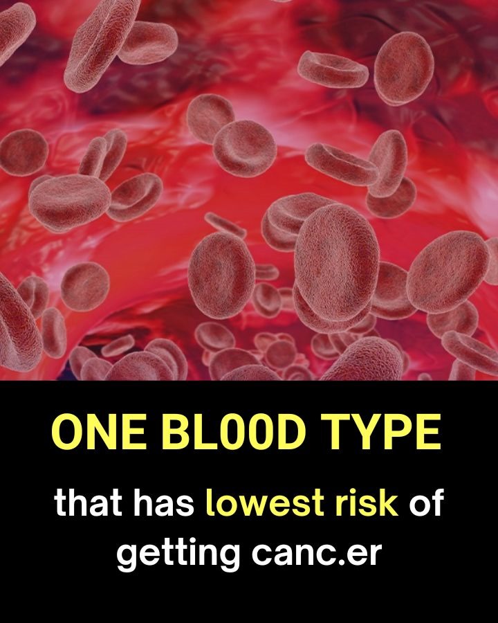 Doctors Reveal the One Blood Type Which Has the Lowest Risk of Cancer