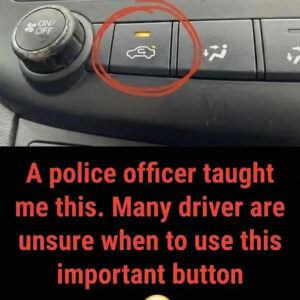 What the Air Recirculation Button Does and When to Use It