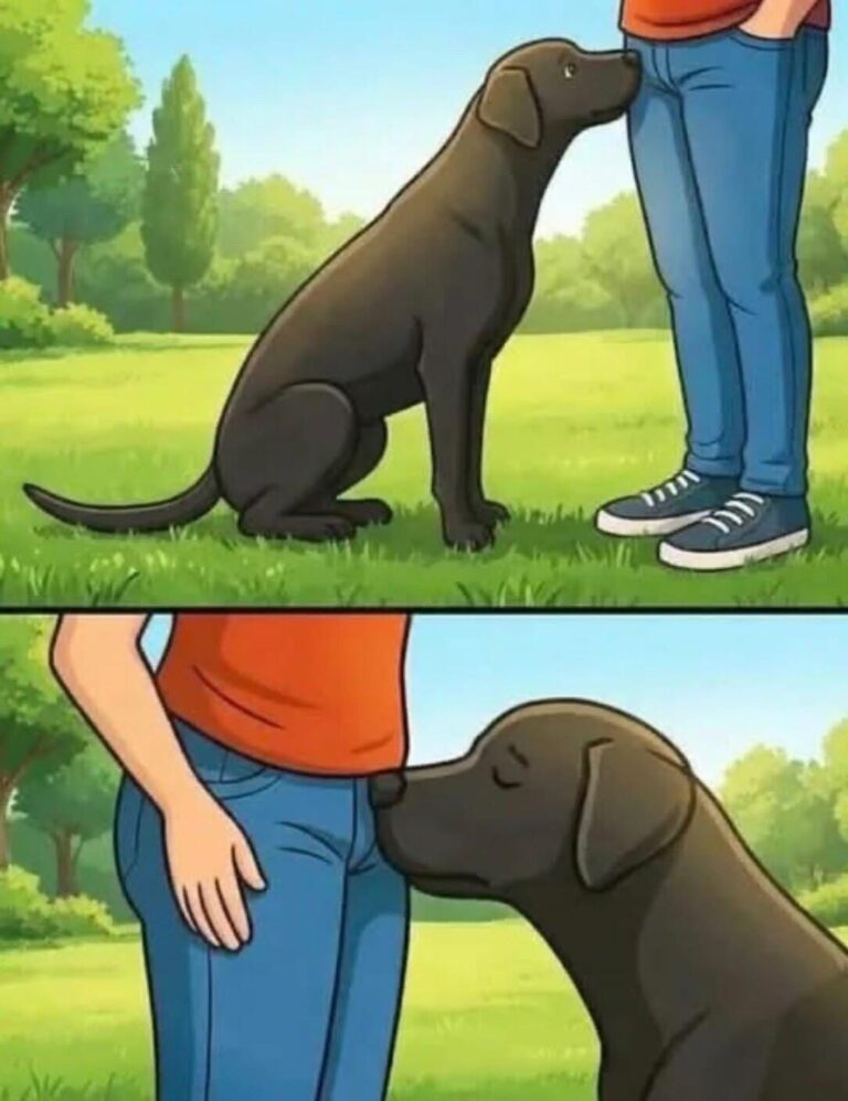 Did you know that if a dog smells your parts it’s …