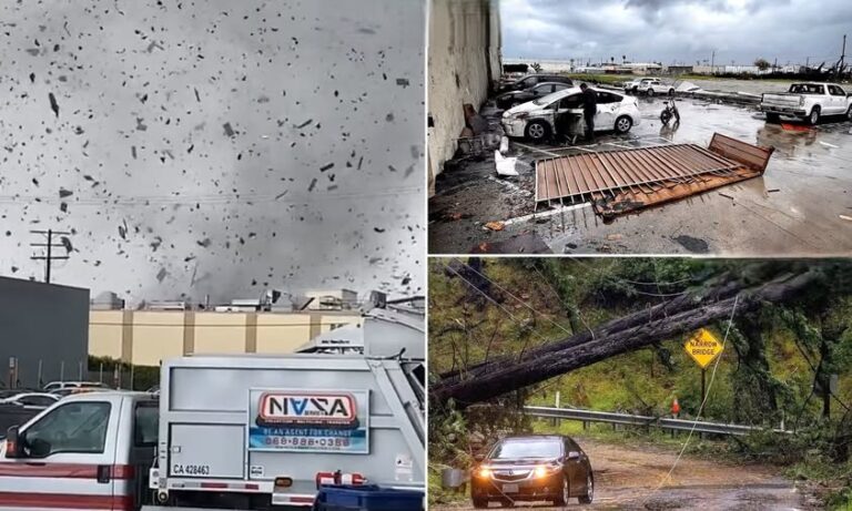 Additional Preparedness Tips for Severe Thunderstorms