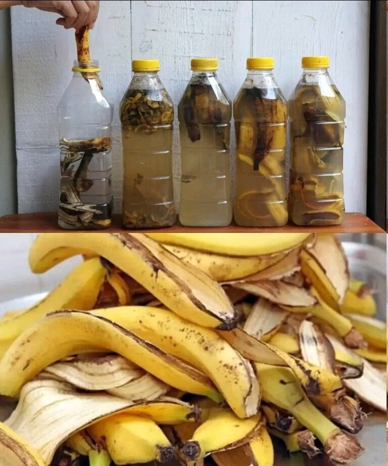 Learn how to prepare a fertilizer with banana peels to revive your plants