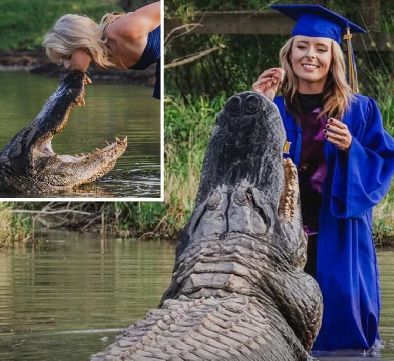 Glamorous coed takes insane graduation pics of her kissing 14-foot alligator